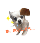 みゅうとんとりんたん（個別スタンプ：18）