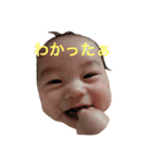 うちのかいとストンプ（個別スタンプ：11）