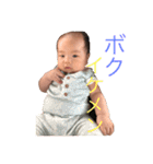うちのかいとストンプ（個別スタンプ：16）