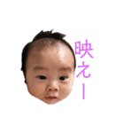 うちのかいとストンプ（個別スタンプ：24）