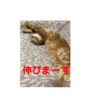 ルフナさん（個別スタンプ：2）