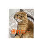 ルフナさん（個別スタンプ：3）