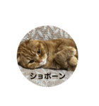 ルフナさん（個別スタンプ：7）