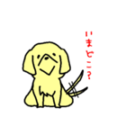 犬のギン（個別スタンプ：11）