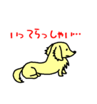 犬のギン（個別スタンプ：16）