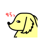 犬のギン（個別スタンプ：17）
