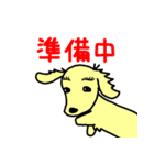 犬のギン（個別スタンプ：20）