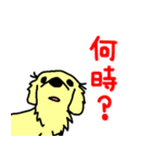 犬のギン（個別スタンプ：23）