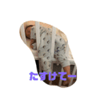 ミキルーム（個別スタンプ：11）