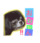 Moriya’s dog ＆cat3（個別スタンプ：1）