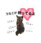Moriya’s dog ＆cat3（個別スタンプ：6）