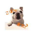 フレブルのぽっちゃりわさび（個別スタンプ：2）