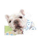 フレブルのぽっちゃりわさび（個別スタンプ：4）