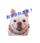 フレブルのぽっちゃりわさび（個別スタンプ：6）