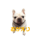 フレブルのぽっちゃりわさび（個別スタンプ：10）