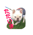 フレブルのぽっちゃりわさび（個別スタンプ：11）