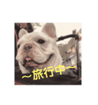 フレブルのぽっちゃりわさび（個別スタンプ：12）