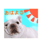 フレブルのぽっちゃりわさび（個別スタンプ：14）