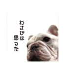 フレブルのぽっちゃりわさび（個別スタンプ：17）