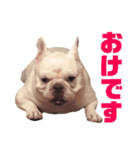 フレブルのぽっちゃりわさび（個別スタンプ：18）
