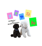 凸凹ブラザーズ 2（個別スタンプ：3）