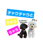 凸凹ブラザーズ 2（個別スタンプ：4）
