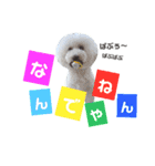 凸凹ブラザーズ 2（個別スタンプ：8）
