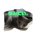 ろくちゃんのおぱいりん（個別スタンプ：3）