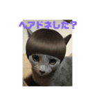 ろくちゃんのおぱいりん（個別スタンプ：4）
