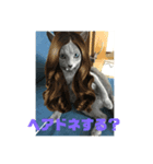 ろくちゃんのおぱいりん（個別スタンプ：5）