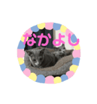 ろくちゃんのおぱいりん（個別スタンプ：8）