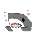 かわいいサメ達のスタンプ（個別スタンプ：3）