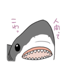 かわいいサメ達のスタンプ（個別スタンプ：7）