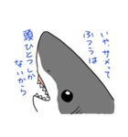 かわいいサメ達のスタンプ（個別スタンプ：8）