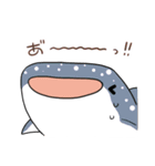 かわいいサメ達のスタンプ（個別スタンプ：12）