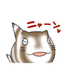 かわいいサメ達のスタンプ（個別スタンプ：26）