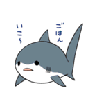 かわいいサメ達のスタンプ（個別スタンプ：36）
