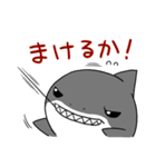 かわいいサメ達のスタンプ（個別スタンプ：39）