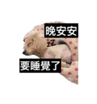 かわいい。ニーニ（個別スタンプ：3）