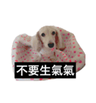 かわいい。ニーニ（個別スタンプ：9）