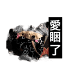 かわいい。ニーニ（個別スタンプ：14）