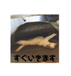 まったりきなこ（個別スタンプ：8）