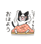 高知 幡多弁 猫スタンプ（個別スタンプ：1）