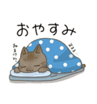 高知 幡多弁 猫スタンプ（個別スタンプ：2）