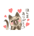 高知 幡多弁 猫スタンプ（個別スタンプ：3）