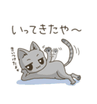 高知 幡多弁 猫スタンプ（個別スタンプ：6）