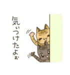 高知 幡多弁 猫スタンプ（個別スタンプ：9）