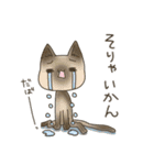 高知 幡多弁 猫スタンプ（個別スタンプ：19）