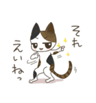 高知 幡多弁 猫スタンプ（個別スタンプ：20）