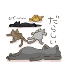 高知 幡多弁 猫スタンプ（個別スタンプ：27）